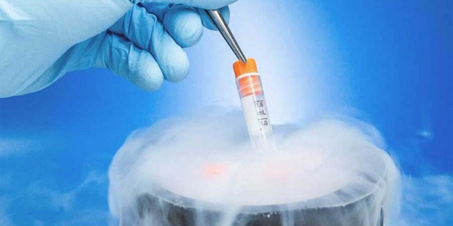 Comment La Congélation d’Ovules Influence-t-elle les Chances de Grossesse