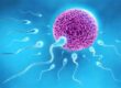 Les effets des traitements du cancer sur la qualité du sperme